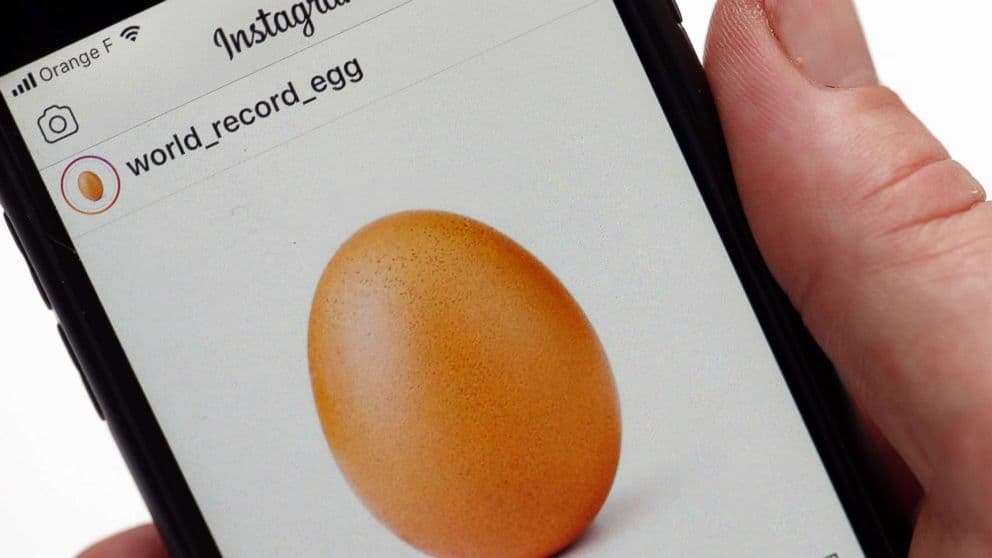 Букмекеры предлагают ставки на популярность яйца из Instagram