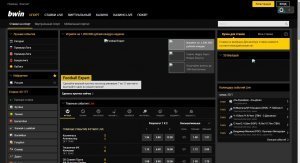 Актуальное на сегодня зеркало Bwin