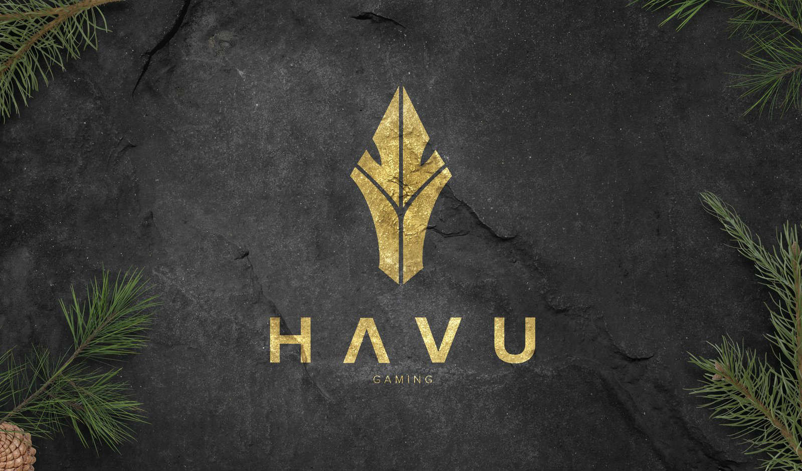 HAVU Gaming по CS:GO: история команды, игроки, особенности ставок