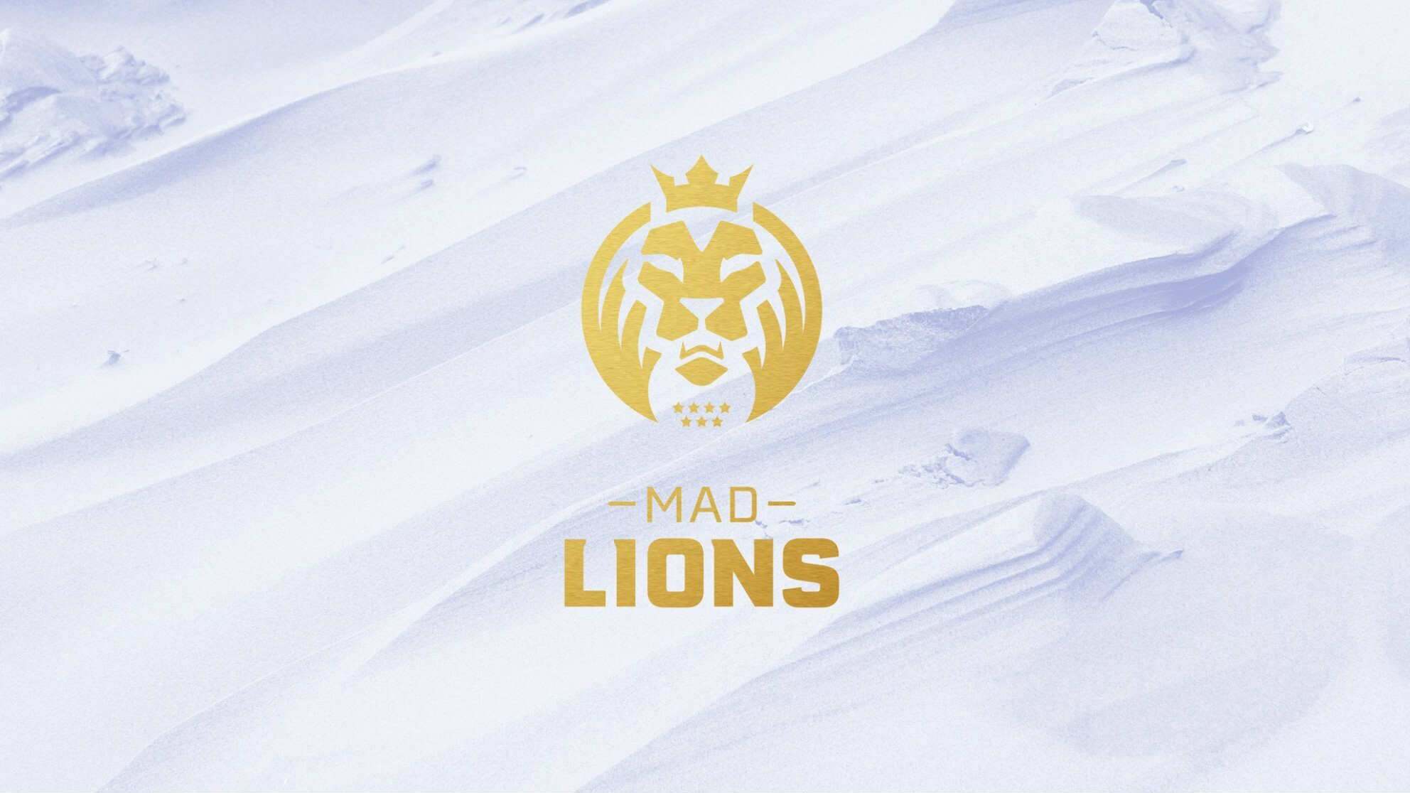 MAD Lions по CS:GO: история команды, игроки, особенности ставок