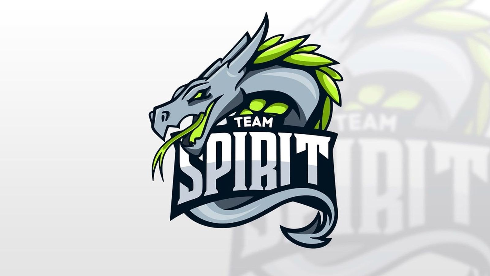 Team Spirit по CS:GO: история команды, игроки, особенности ставок