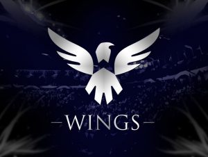Wings Gaming po Dota 2 istoriya komandy igroki osobennosti stavok