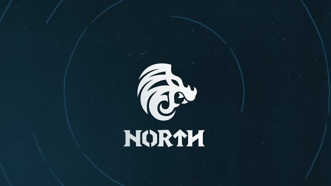 North по CS:GO: история команды, игроки, особенности ставок