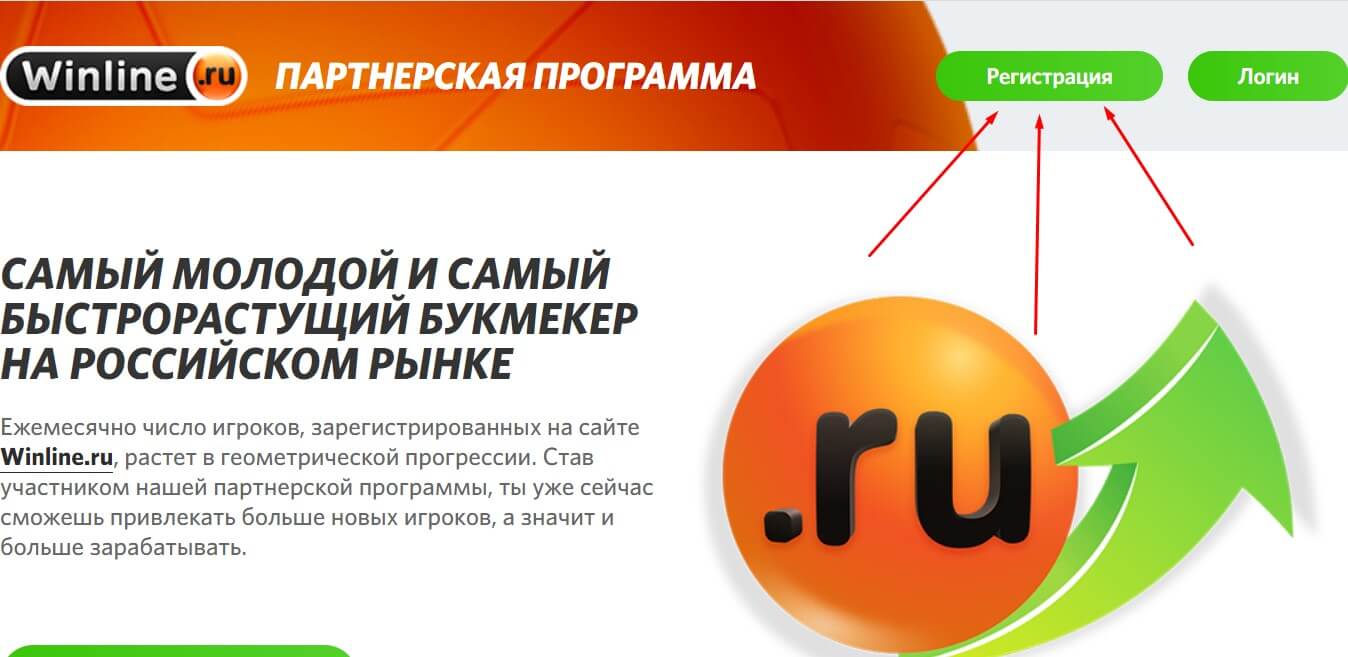 registratsiya v partnerskoj programme winline ru