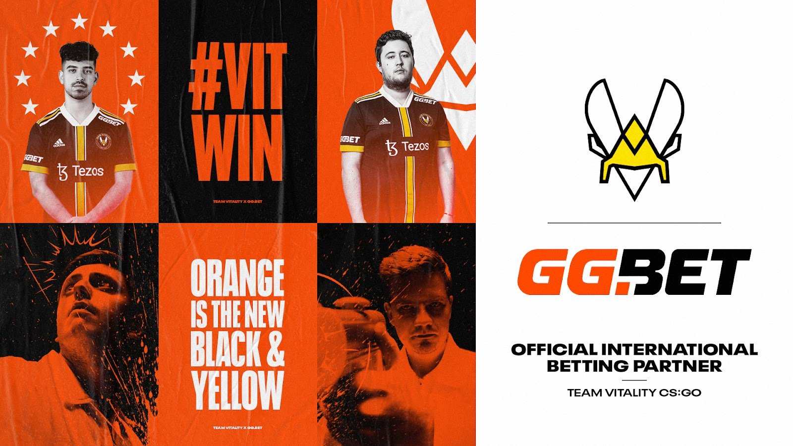 Team Vitality CS GO partnership with GGBET