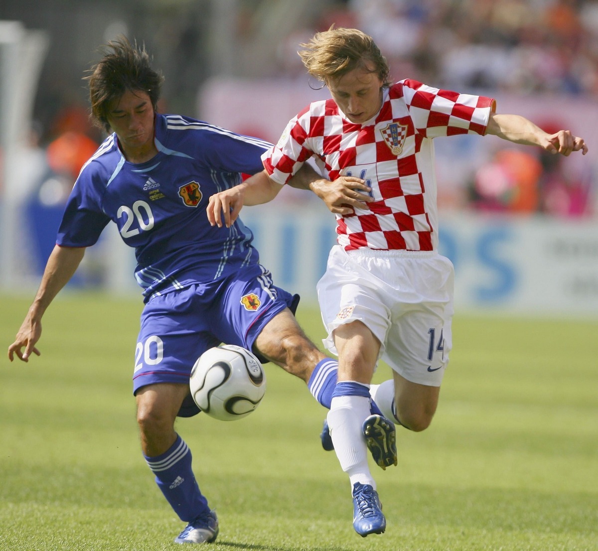 Япония – Хорватия. Прогноз и ставки на матч 1/8 финала чемпионата мира. 5 декабря 2022