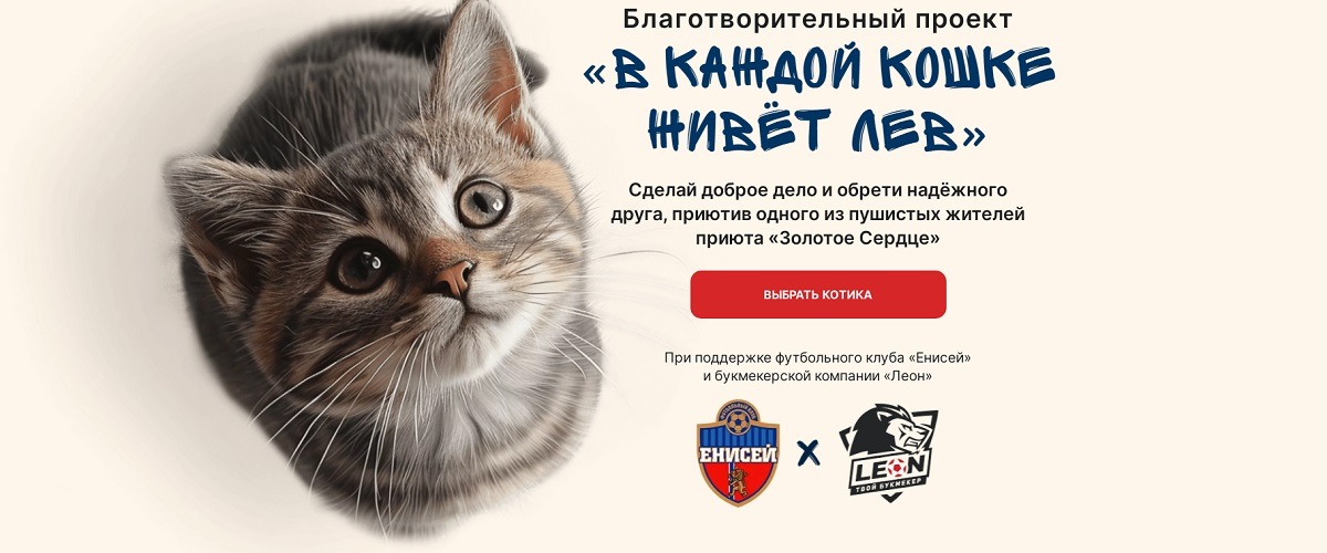 БК Леон и ФК «Енисей» запустили совместную благотворительную акцию «В каждой кошке живёт лев»