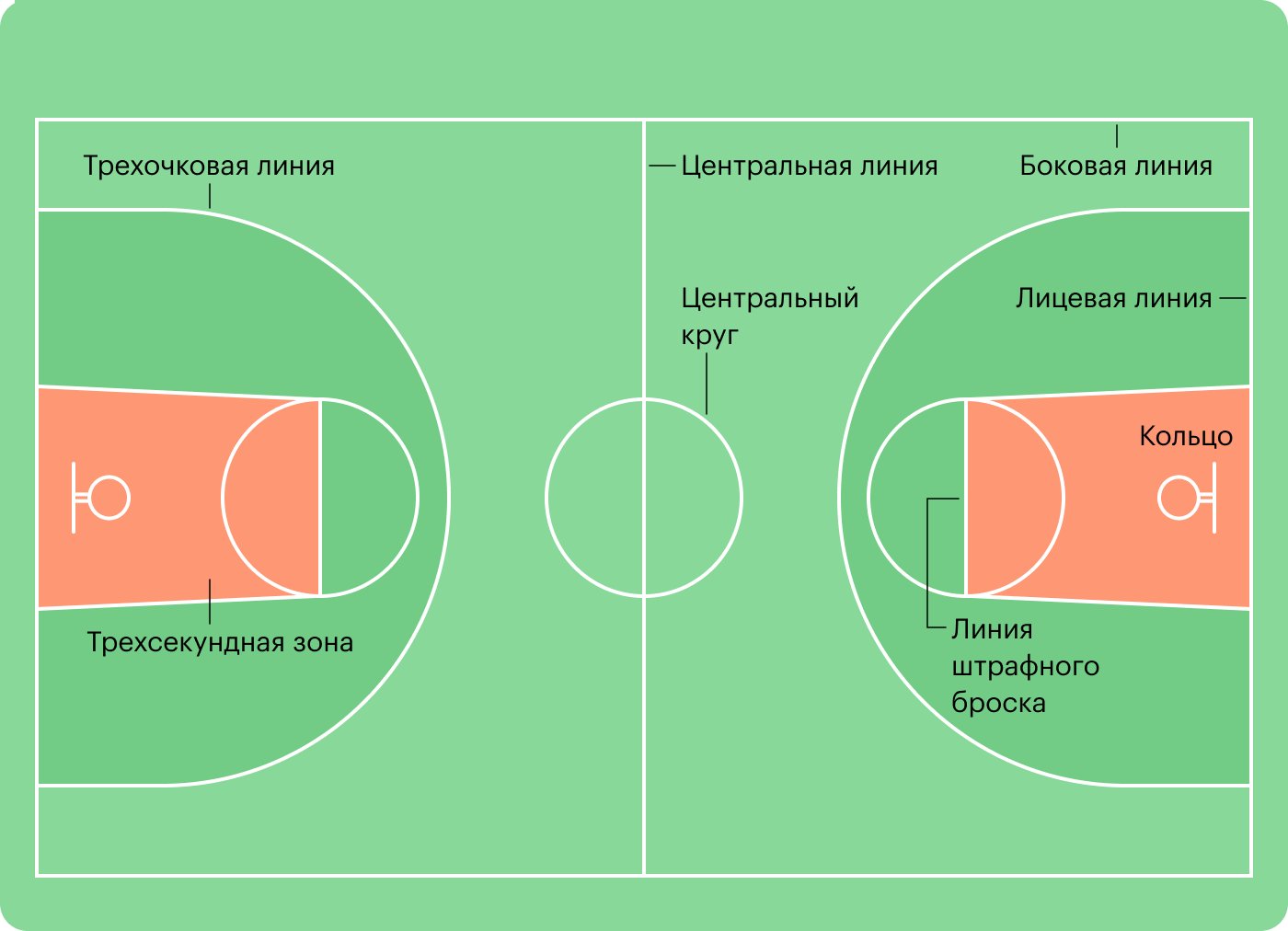 nachislenie ochkov basketbol zony razmetka