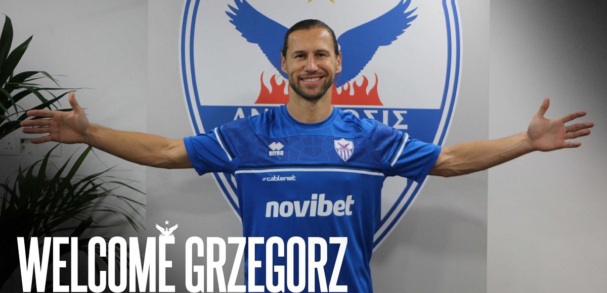 Krychowiak anorthosis