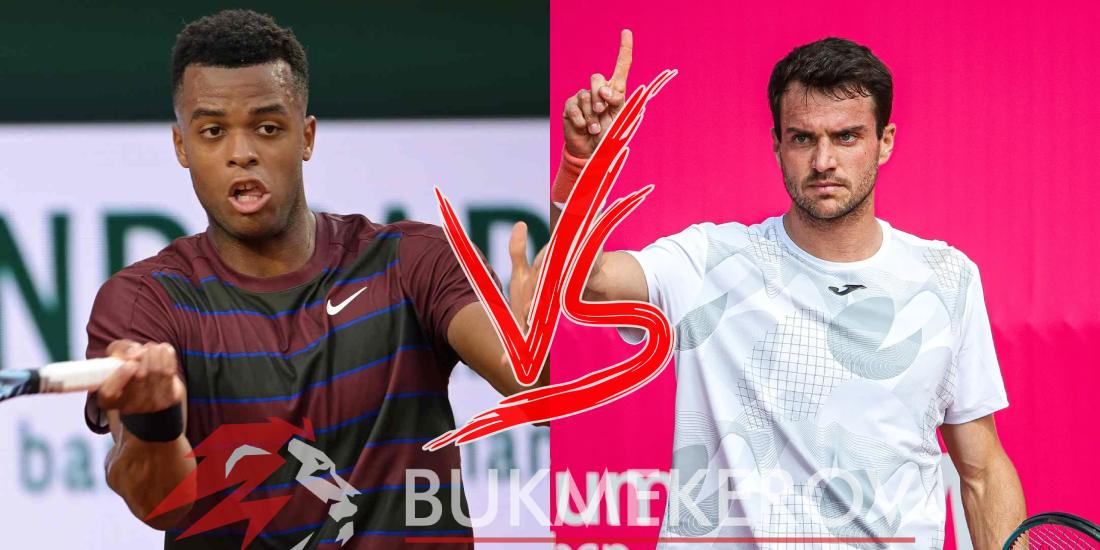 Dzhovanni Mpetshi Perrikar Pedro Martines Portero prognoz i stavki na tennis 20 avgusta 2025 goda ATP 250 v Uinston Sejleme SSHA