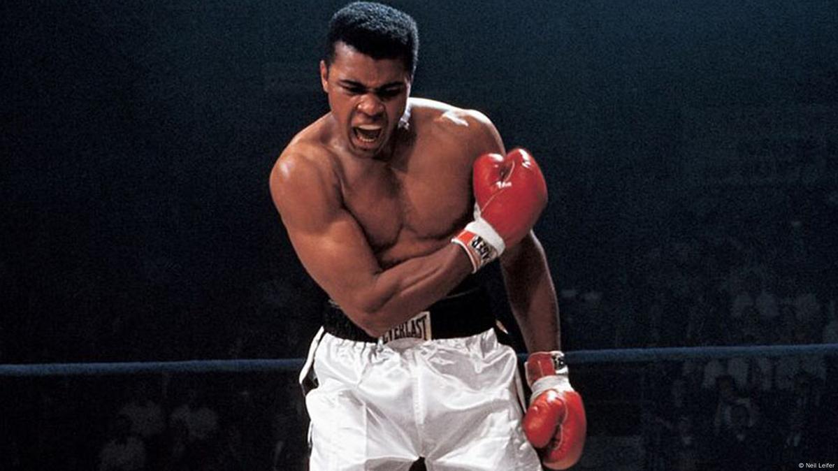 best boxers