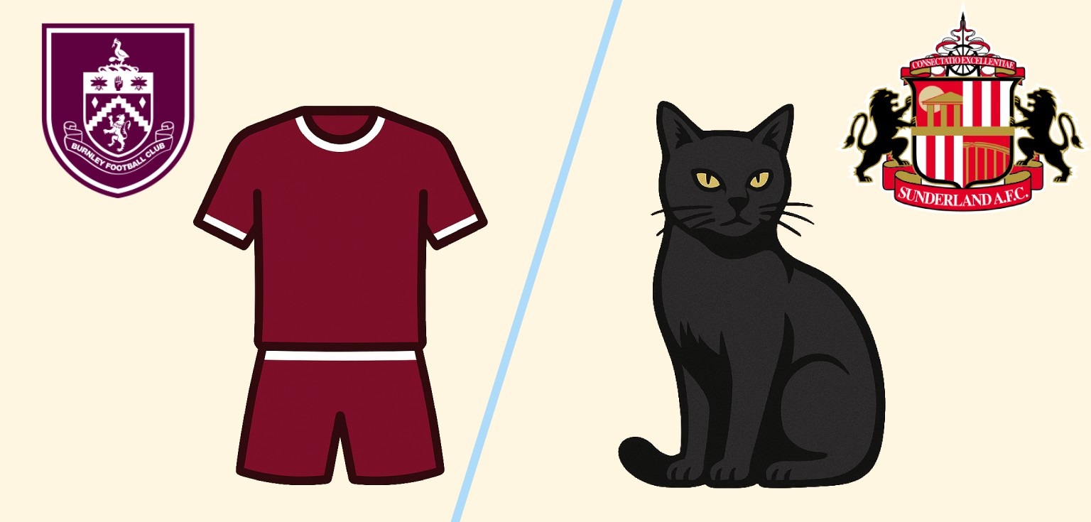 Prozvishha futbolnyh klubov Bernli i Sanderlen bordovye i chernye koty makems