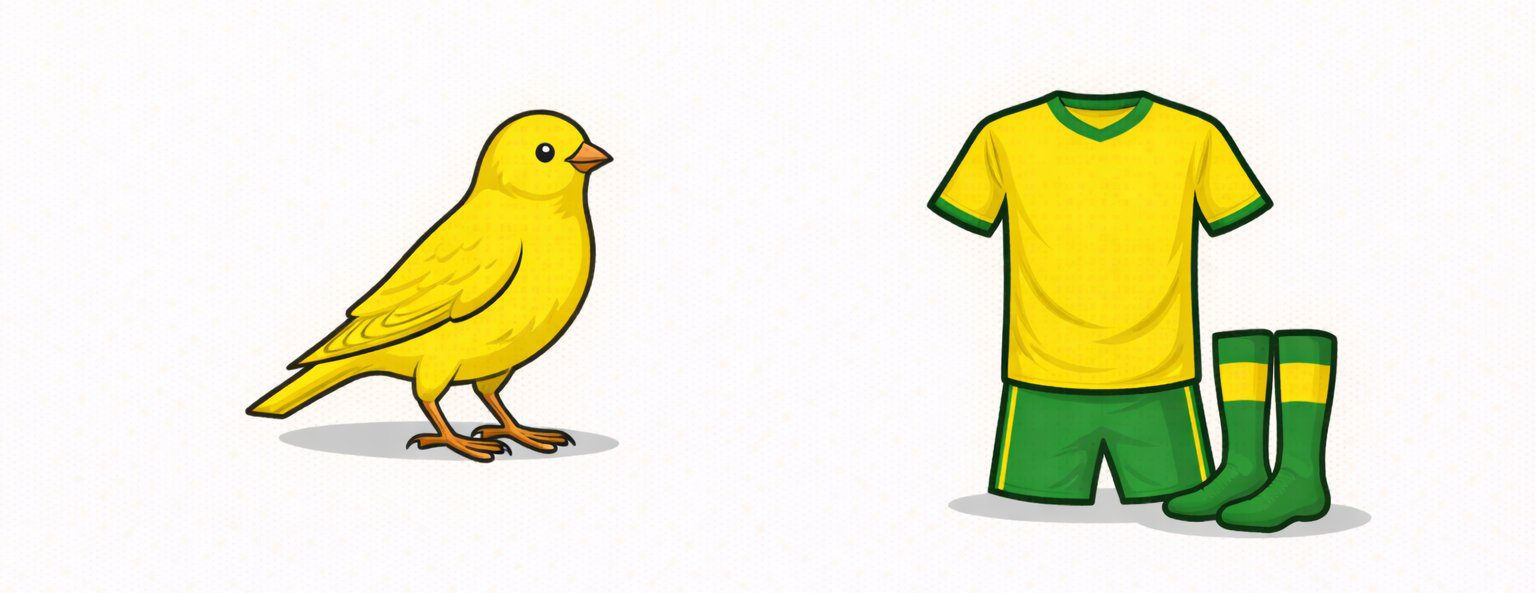 prozvishha frantsuzskogo futbolnogo kluba Nant Kanarejki Les Canaris ZHelto zelenye Les Jaunes et Verts